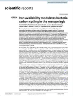 Iron availability modulates bacteria carbon cycling in the mesopelagic