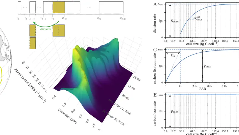 Statistical Tools and Population Models